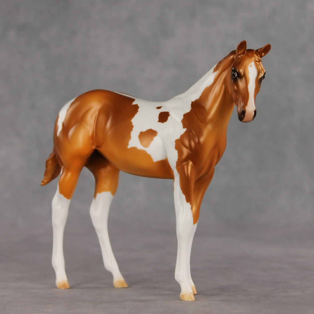 Robbinses OOAK Stock Horse Weanling by Erin Corbett VV26