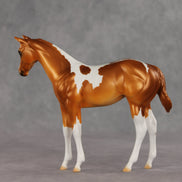 Robbinses OOAK Stock Horse Weanling by Erin Corbett VV26
