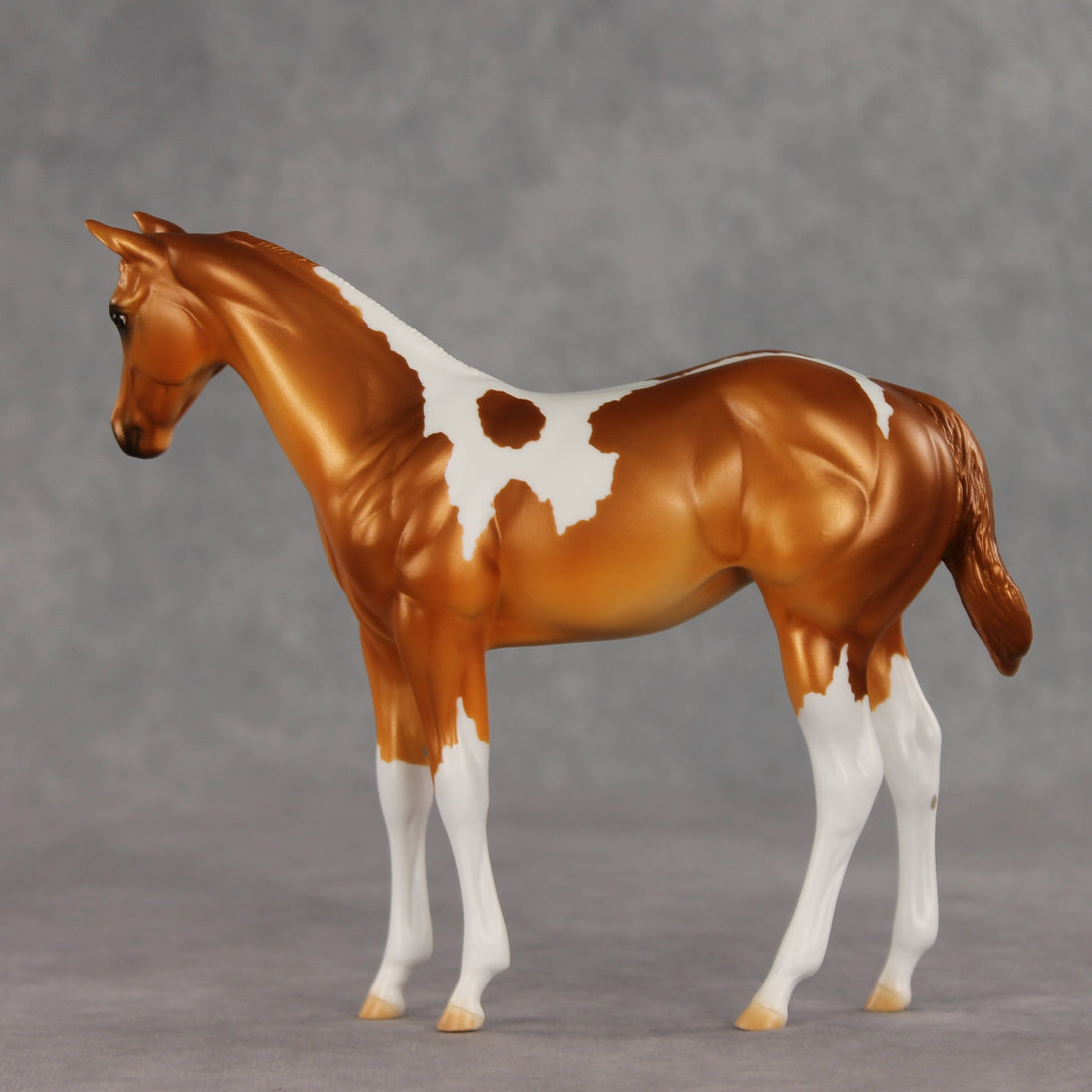 Robbinses OOAK Stock Horse Weanling by Erin Corbett VV26