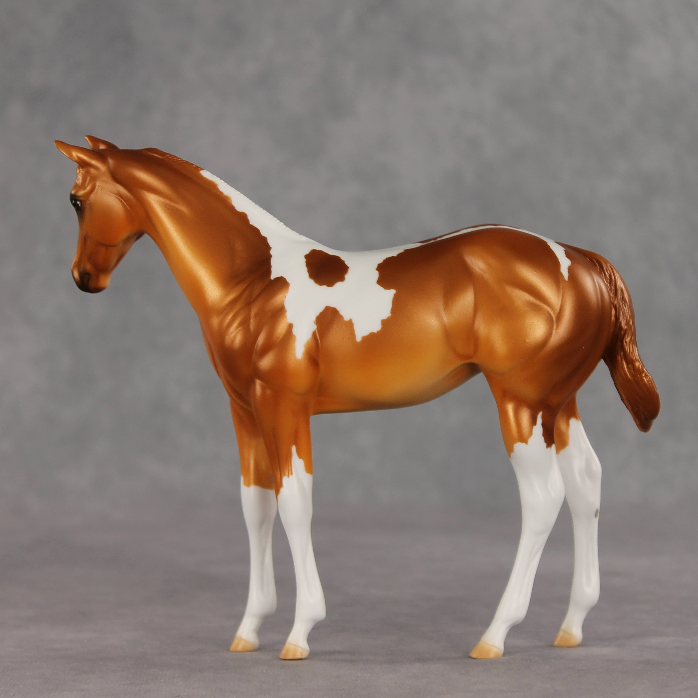 Robbinses OOAK Stock Horse Weanling by Erin Corbett VV26