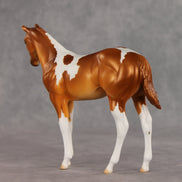 Robbinses OOAK Stock Horse Weanling by Erin Corbett VV26