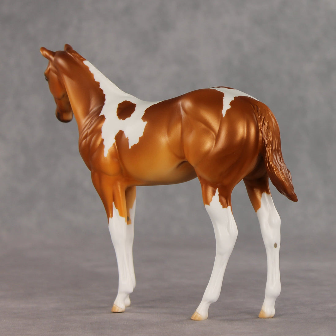 Robbinses OOAK Stock Horse Weanling by Erin Corbett VV26