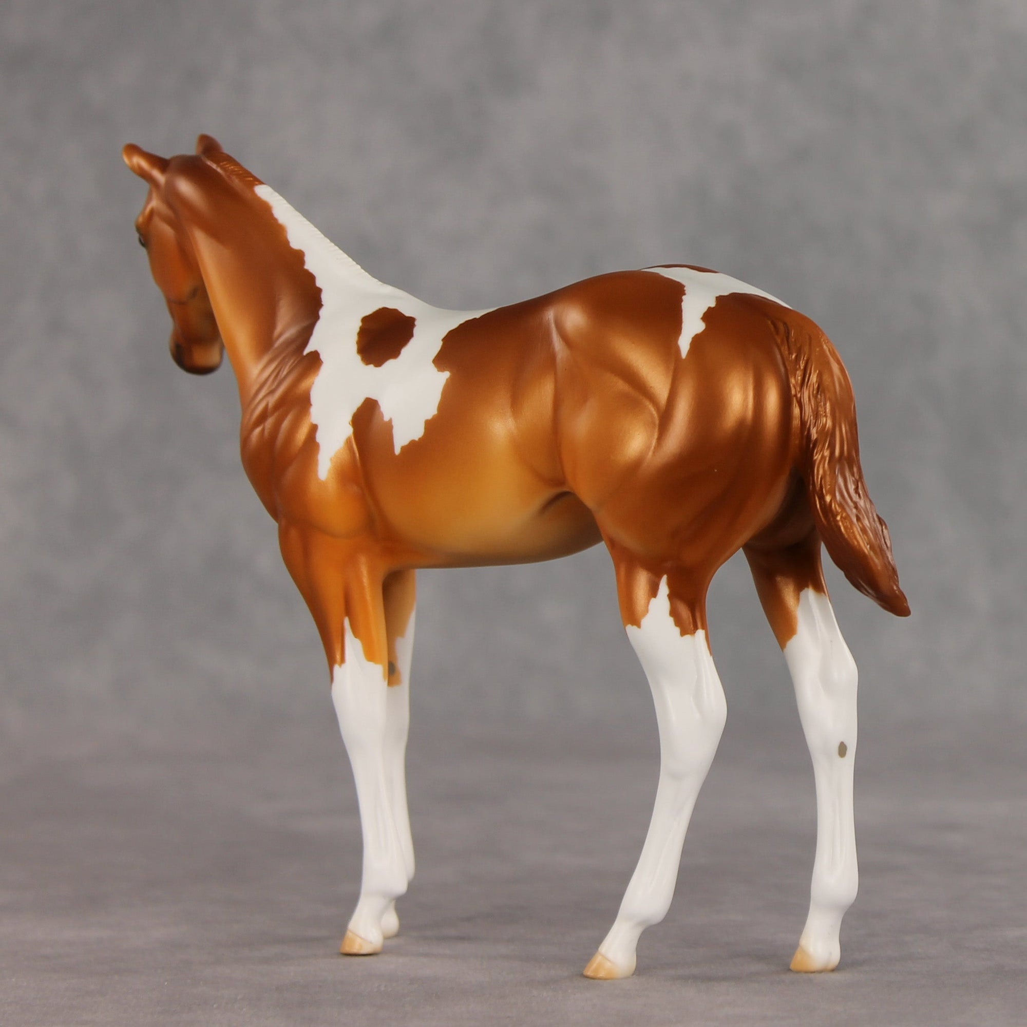 Robbinses OOAK Stock Horse Weanling by Erin Corbett VV26