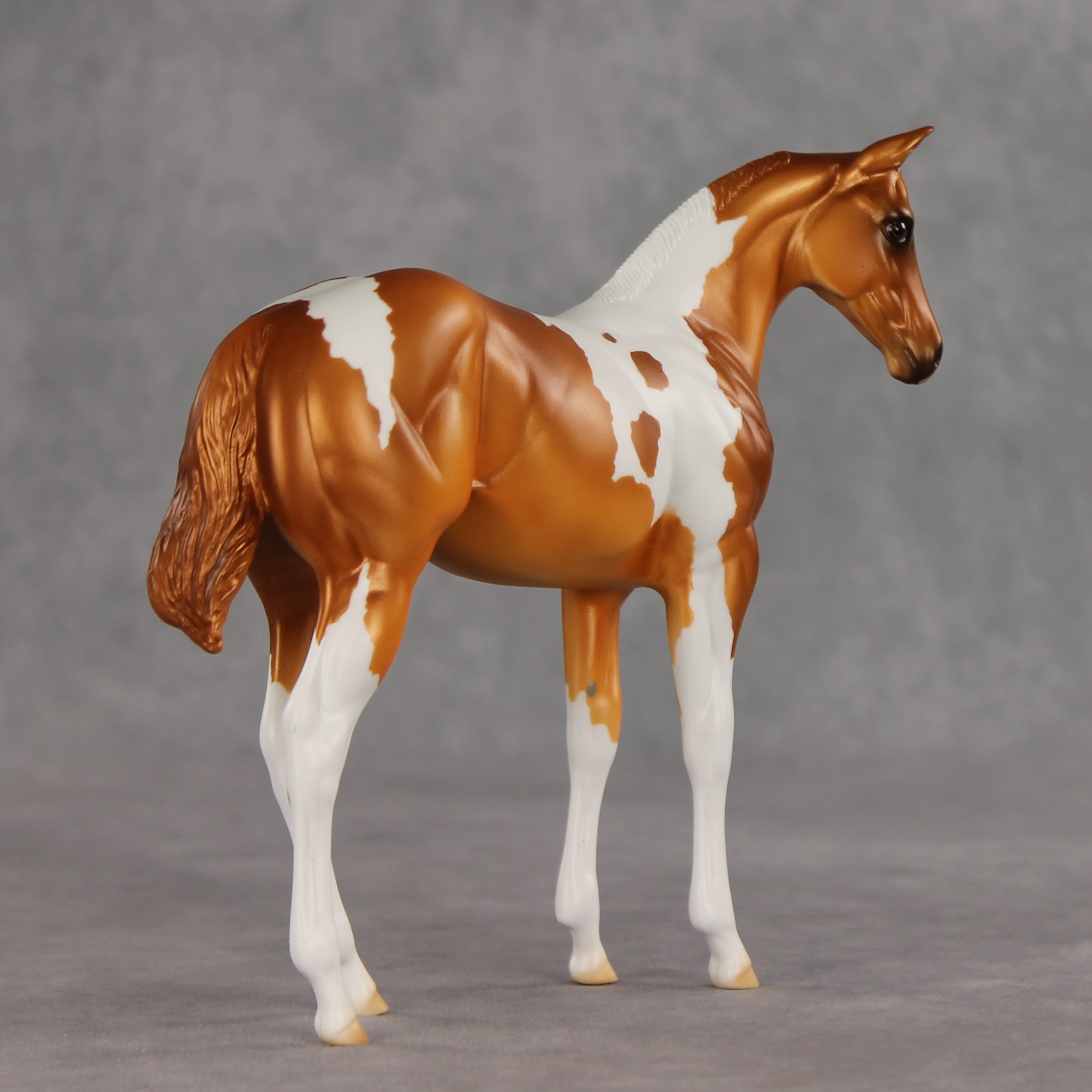 Robbinses OOAK Stock Horse Weanling by Erin Corbett VV26