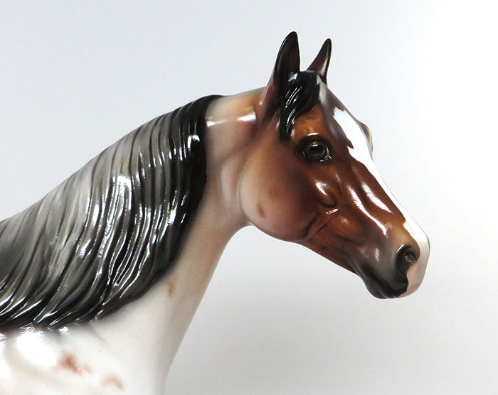 ROBIN HOOD-LE-15 BAY ROAN ISH MODEL HORSE EQ 2016