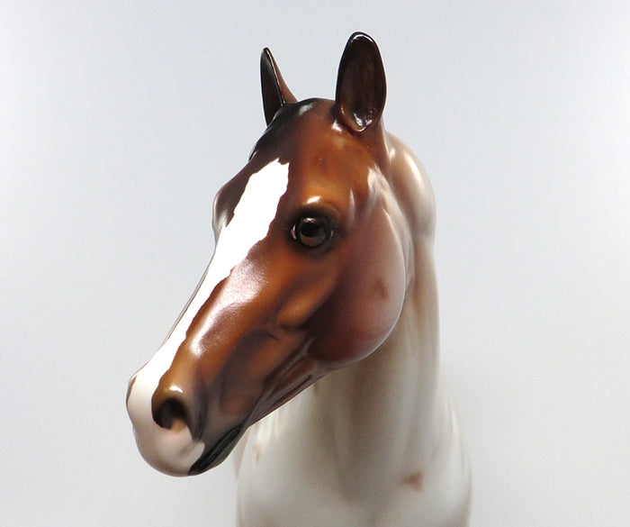 ROBIN HOOD-LE-15 BAY ROAN ISH MODEL HORSE EQ 2016