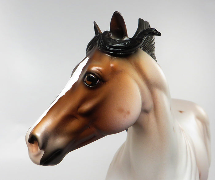 ROBIN HOOD CUSTOM-LE-5  BAY ROAN ISH MODEL HORSE EQ 2016