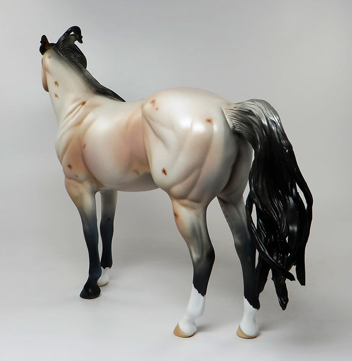 ROBIN HOOD CUSTOM-LE-5  BAY ROAN ISH MODEL HORSE EQ 2016