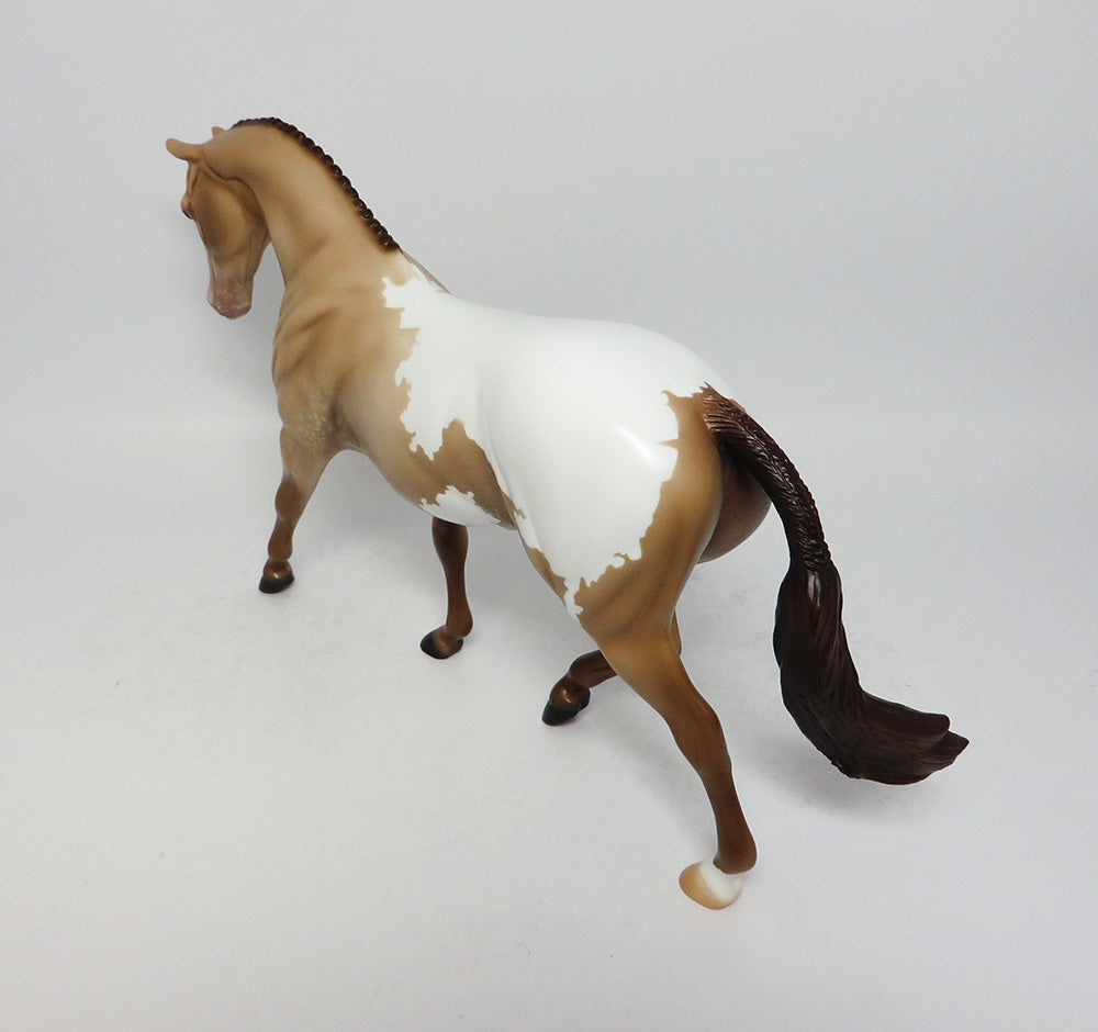 Snow Capped Appaloosa