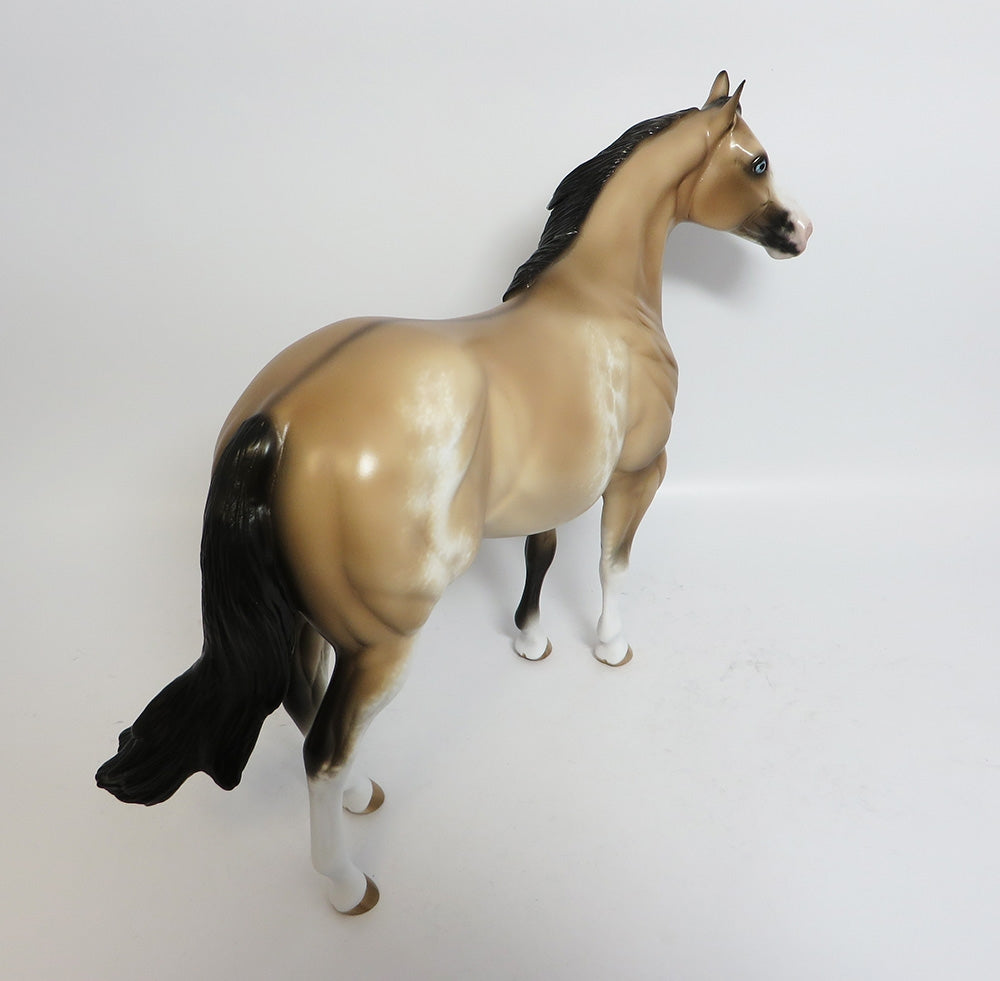 ROCKEM SOCKEM-OOAK CUSTOM BUCKSKIN SABINO ISH BY SHERYL LEISURE WHS 2017