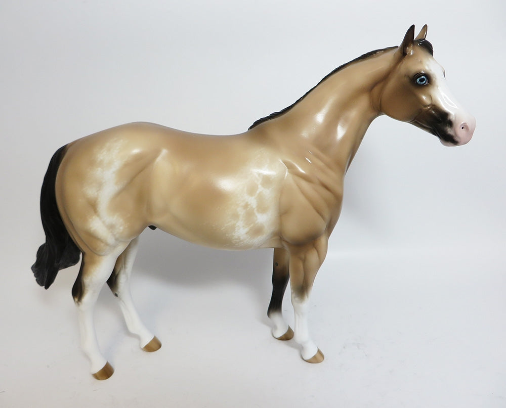 ROCKEM SOCKEM-OOAK CUSTOM BUCKSKIN SABINO ISH BY SHERYL LEISURE WHS 2017