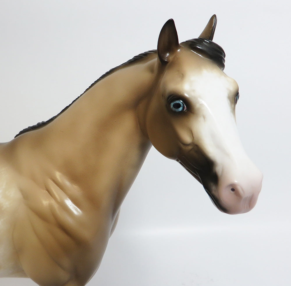 ROCKEM SOCKEM-OOAK CUSTOM BUCKSKIN SABINO ISH BY SHERYL LEISURE WHS 2017