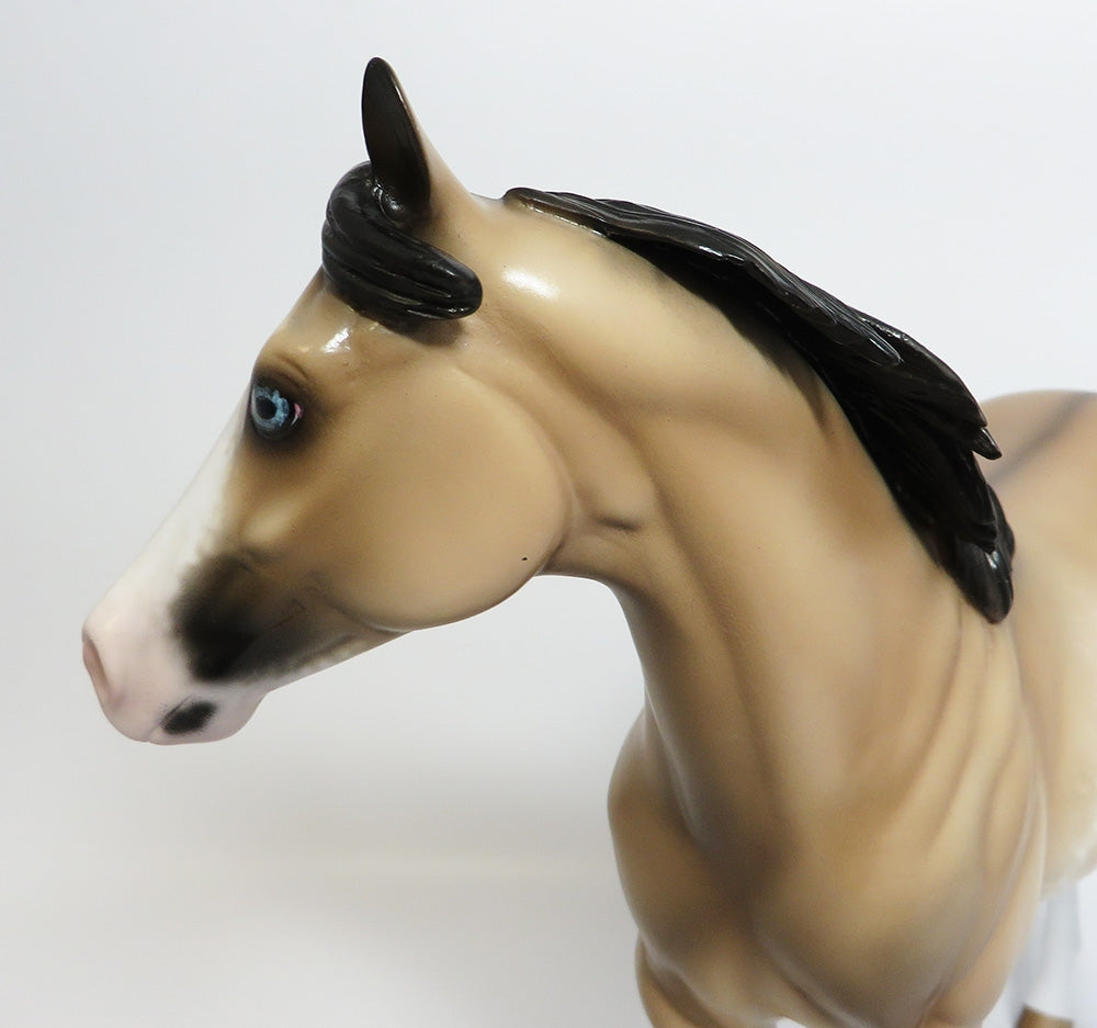 ROCKEM SOCKEM-OOAK CUSTOM BUCKSKIN SABINO ISH BY SHERYL LEISURE WHS 2017