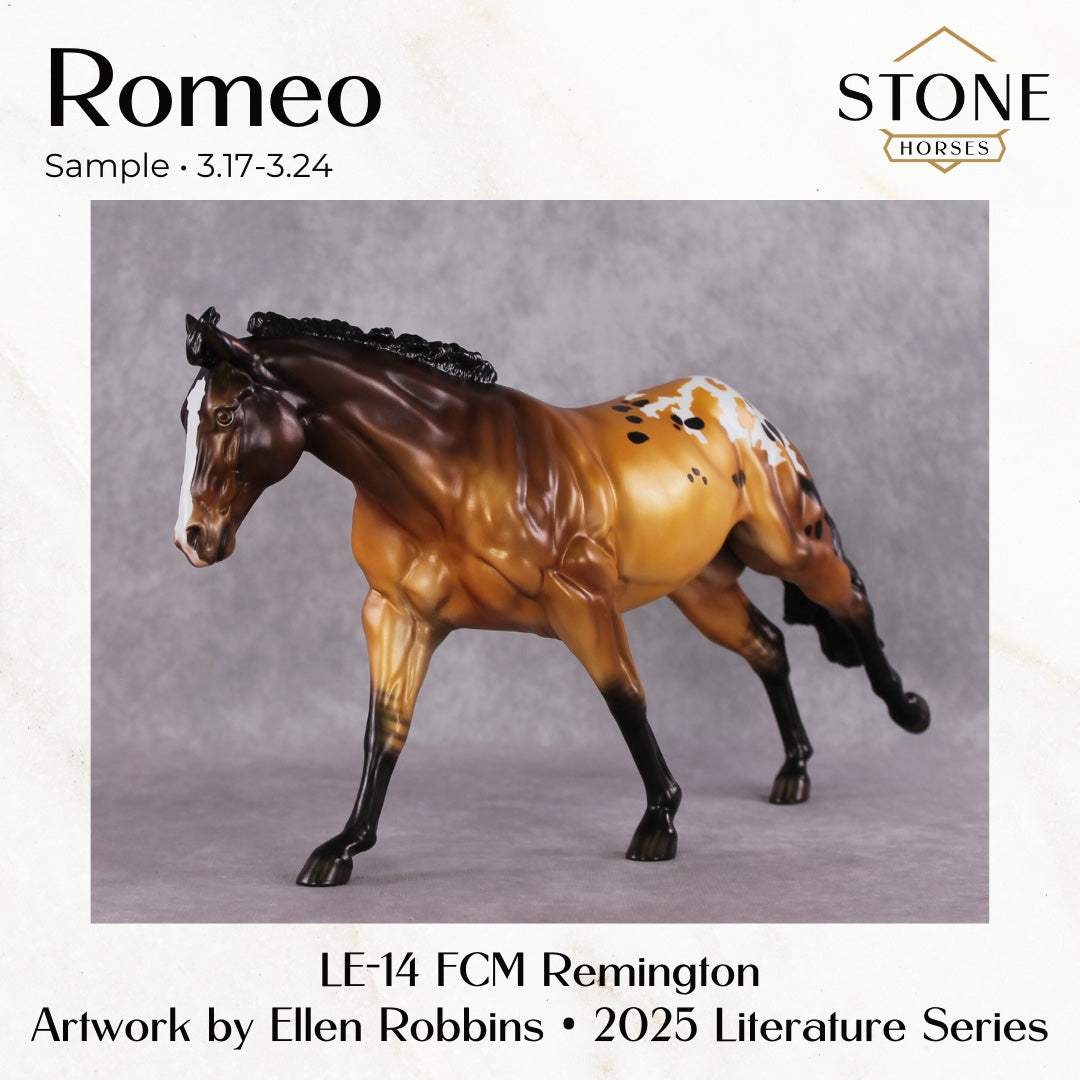 SAMPLE Romeo LE-14 FCM Remington by Ellen Robbins SS0326