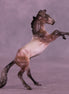 Rosé OOAK Chip Mustang by Anna Rieck VV26