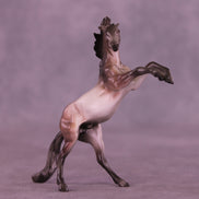 Rosé OOAK Chip Mustang by Anna Rieck VV26