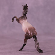 Rosé OOAK Chip Mustang by Anna Rieck VV26