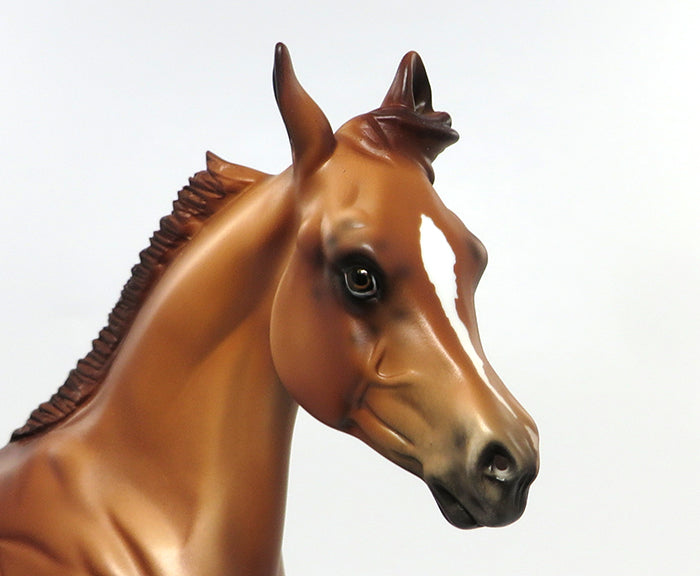 ROSE RED-LE-6 CHESTNUT APPALOOSA YEARLING ARABIAN MODEL HORSE EQ 2016 7/27