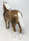 palomino