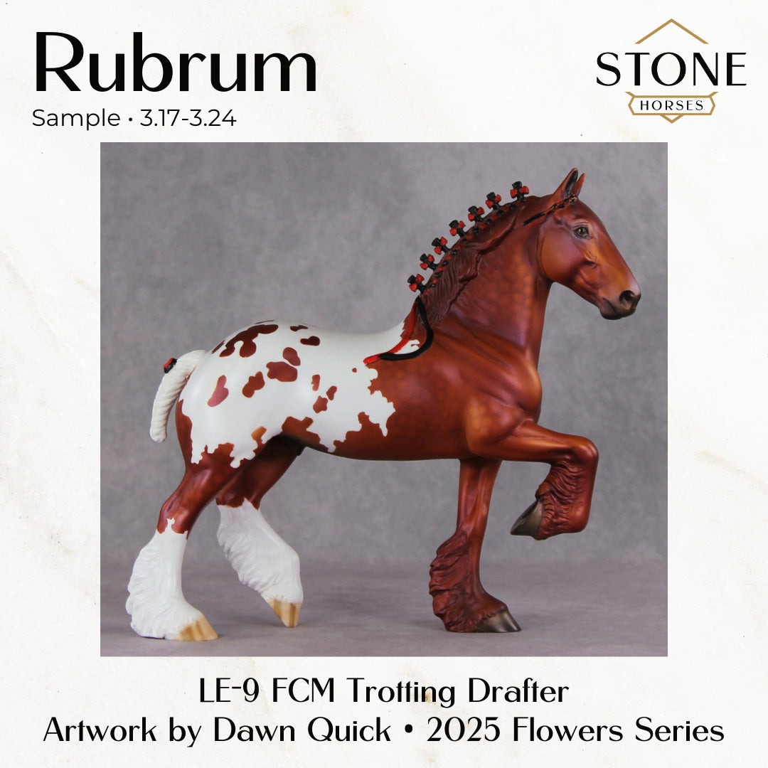 SAMPLE Rubrum LE-9 FCM Trotting Drafter by Dawn Quick SS0326