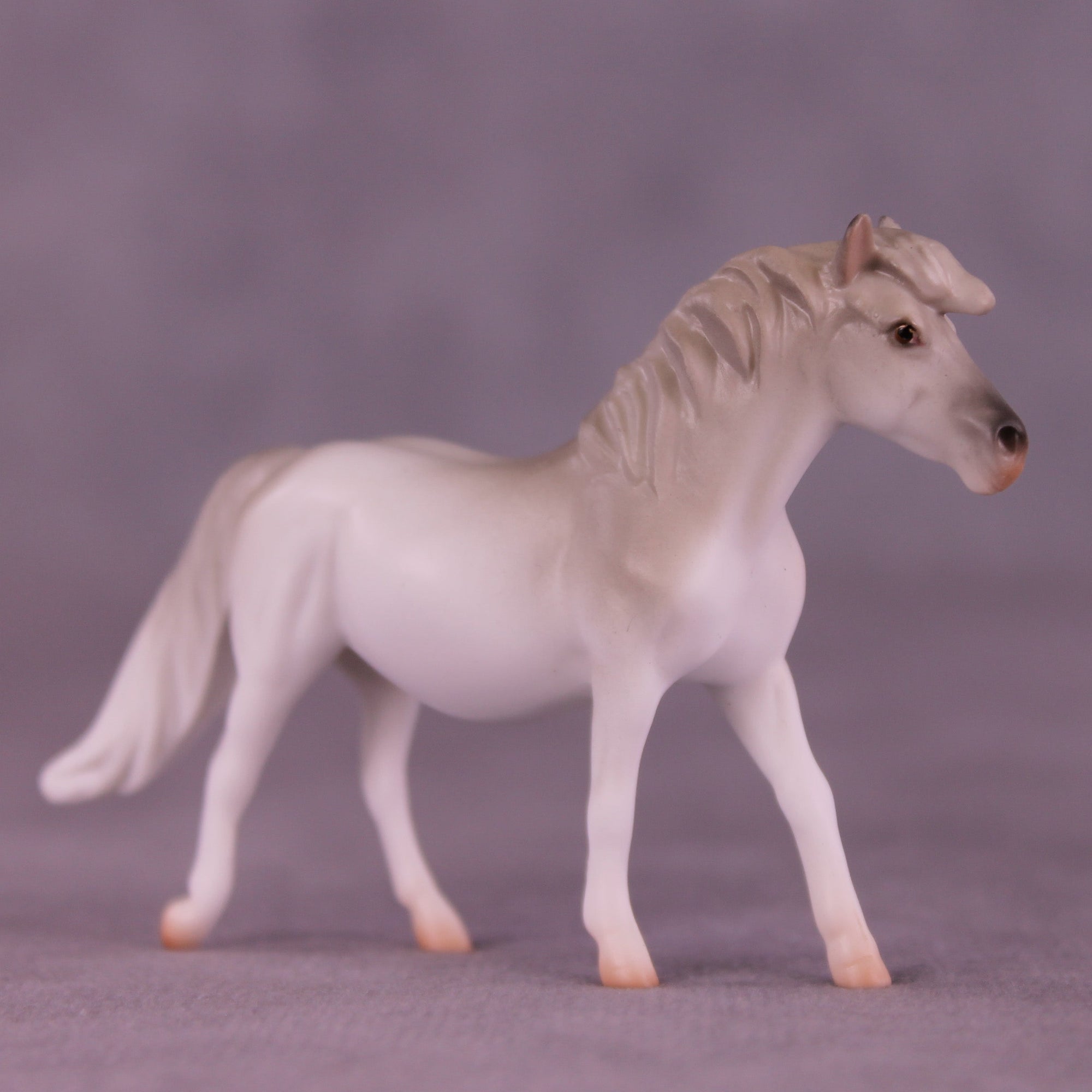 Rufus OOAK Chip Pony by Jess Hamill MS25