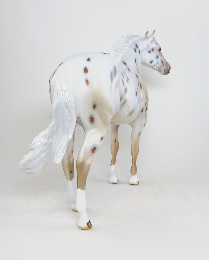 Leopard Appaloosa