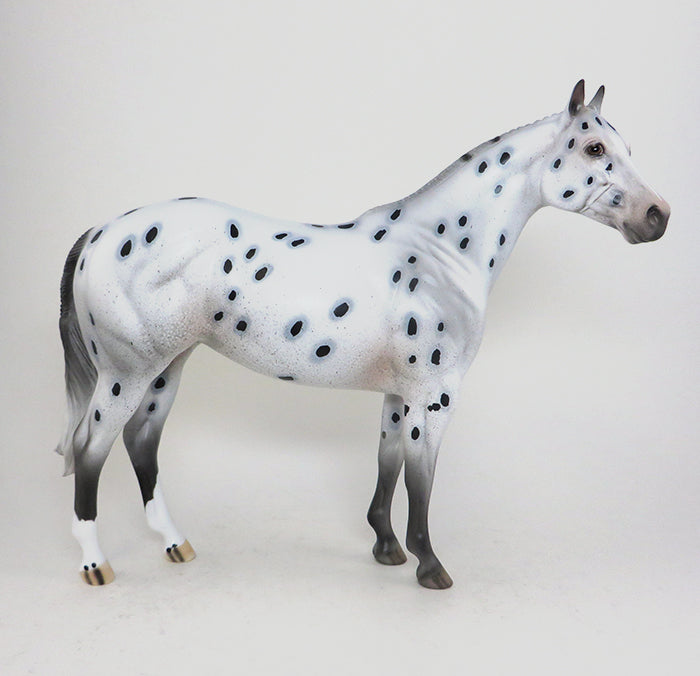 Leopard Appaloosa 