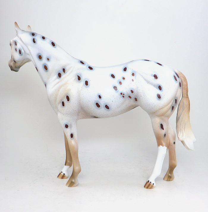 Chestnut Leopard Appaloosa