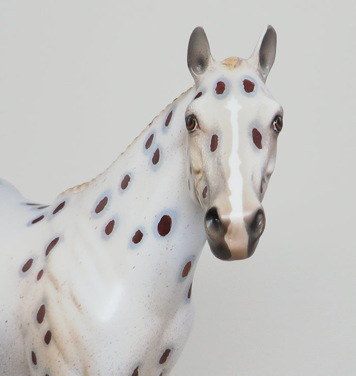 Limited Edition Appaloosa Mare