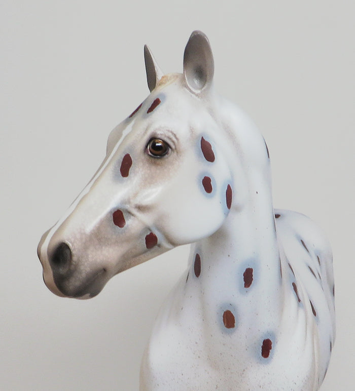 Leopard Appaloosa Mare