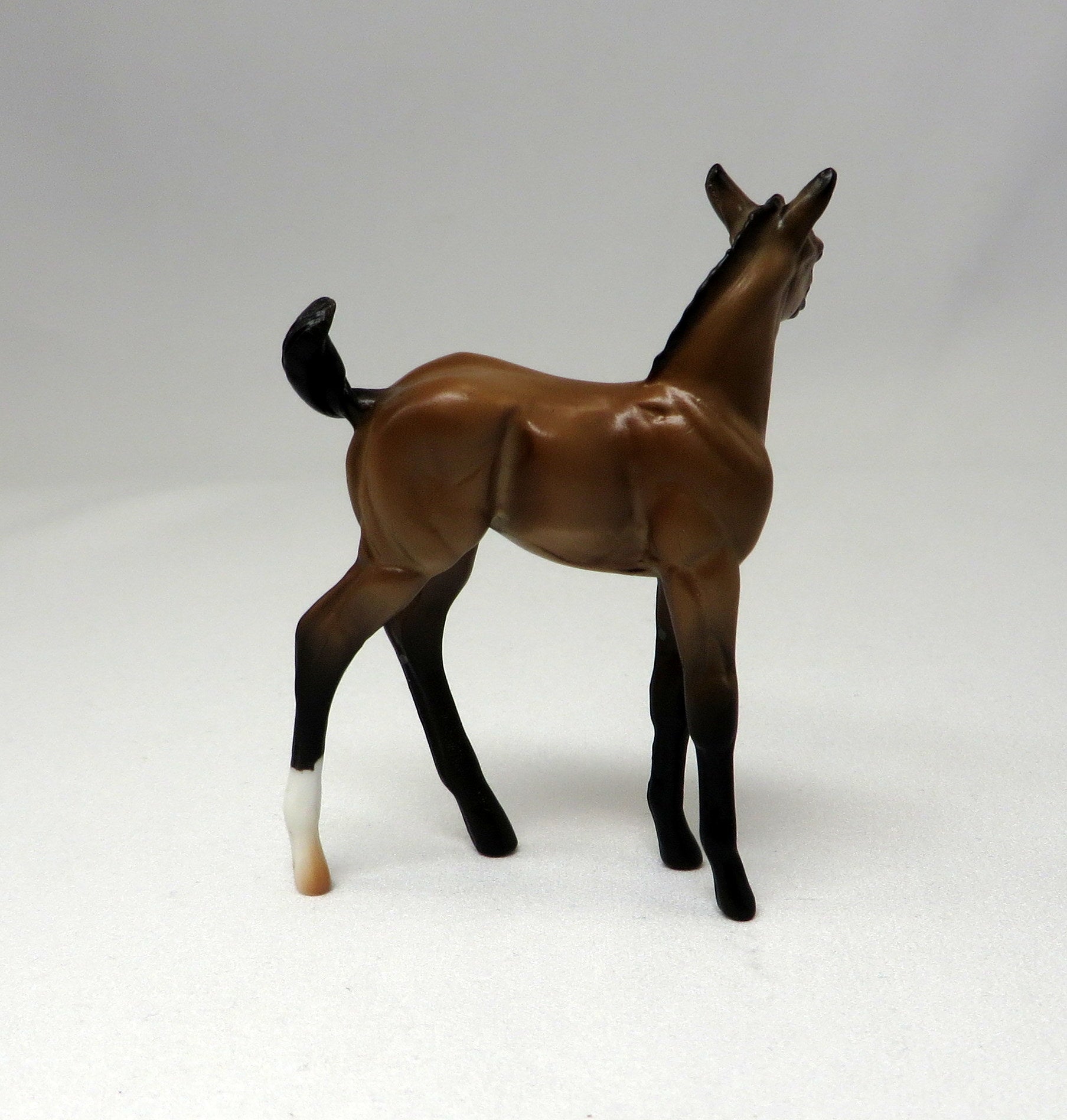 PEPPY&#39;S SASSY PANTS - Buckskin Blanket Appaloosa Foal - LE4 - 9/23