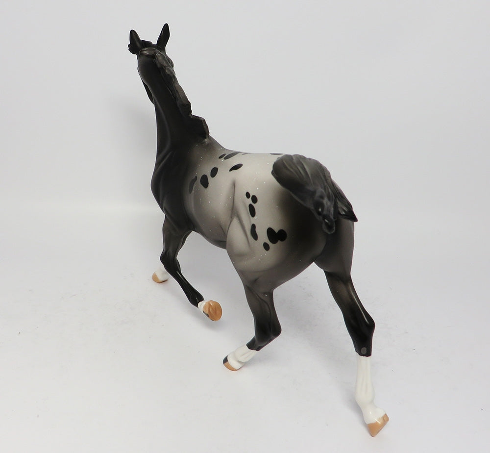 Appaloosa