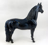 Morgan Horse
