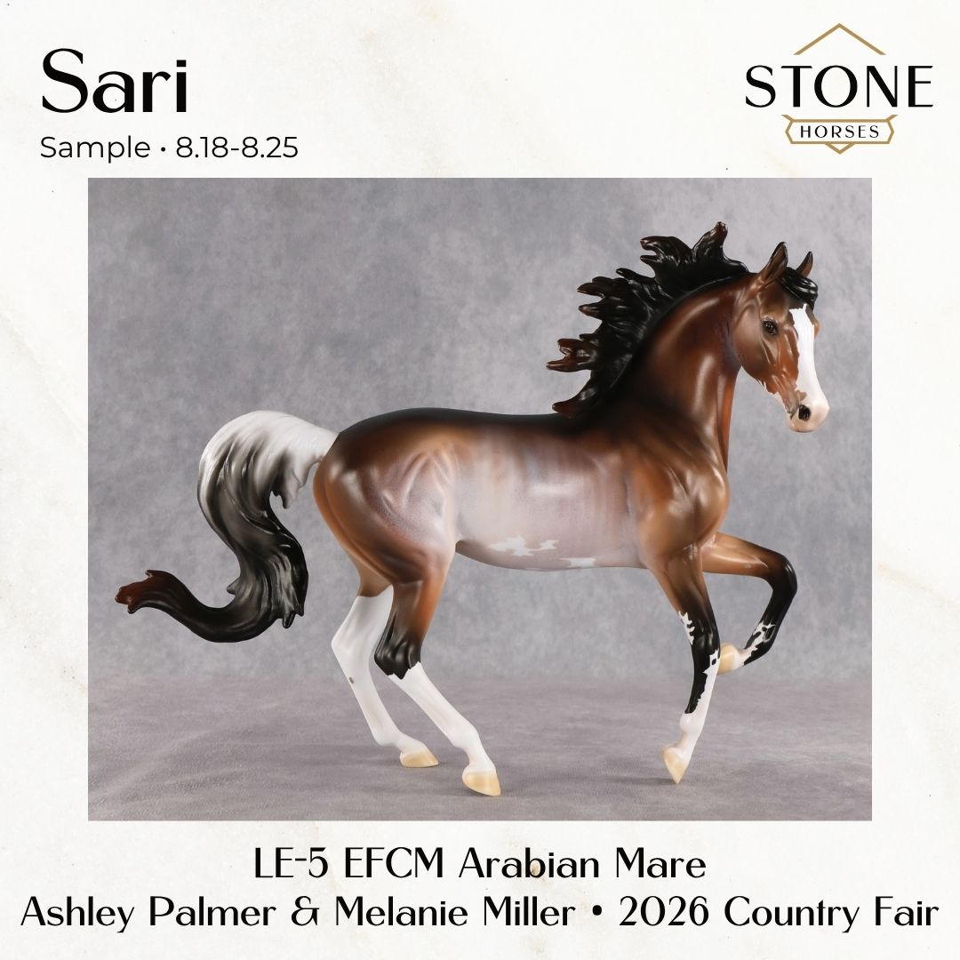 SAMPLE Sari LE-5 EFCM Arabian Mare by Ashley Palmer &amp; Melanie Miller SS0826