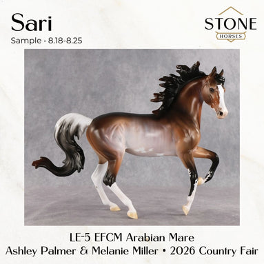 SAMPLE Sari LE-5 EFCM Arabian Mare by Ashley Palmer & Melanie Miller SS0826