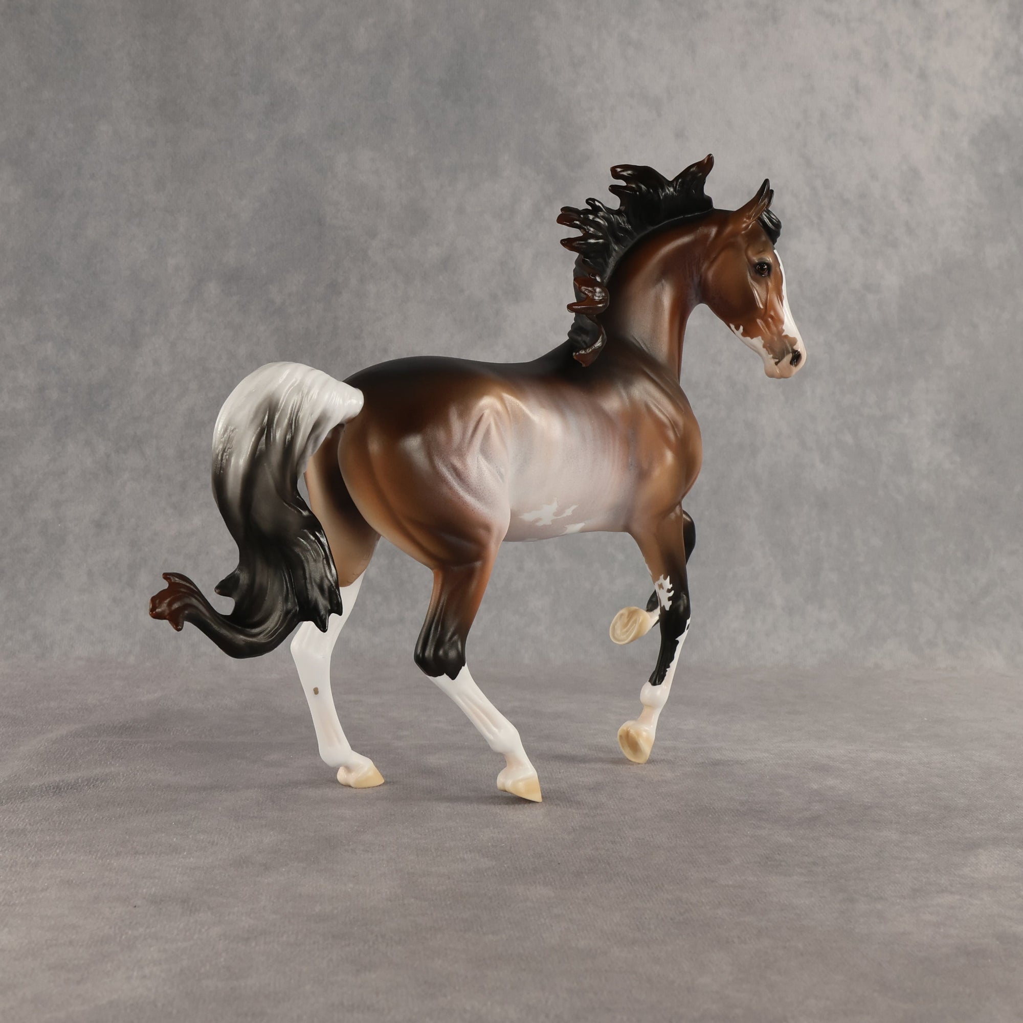 SAMPLE Sari LE-5 EFCM Arabian Mare by Ashley Palmer &amp; Melanie Miller SS0826
