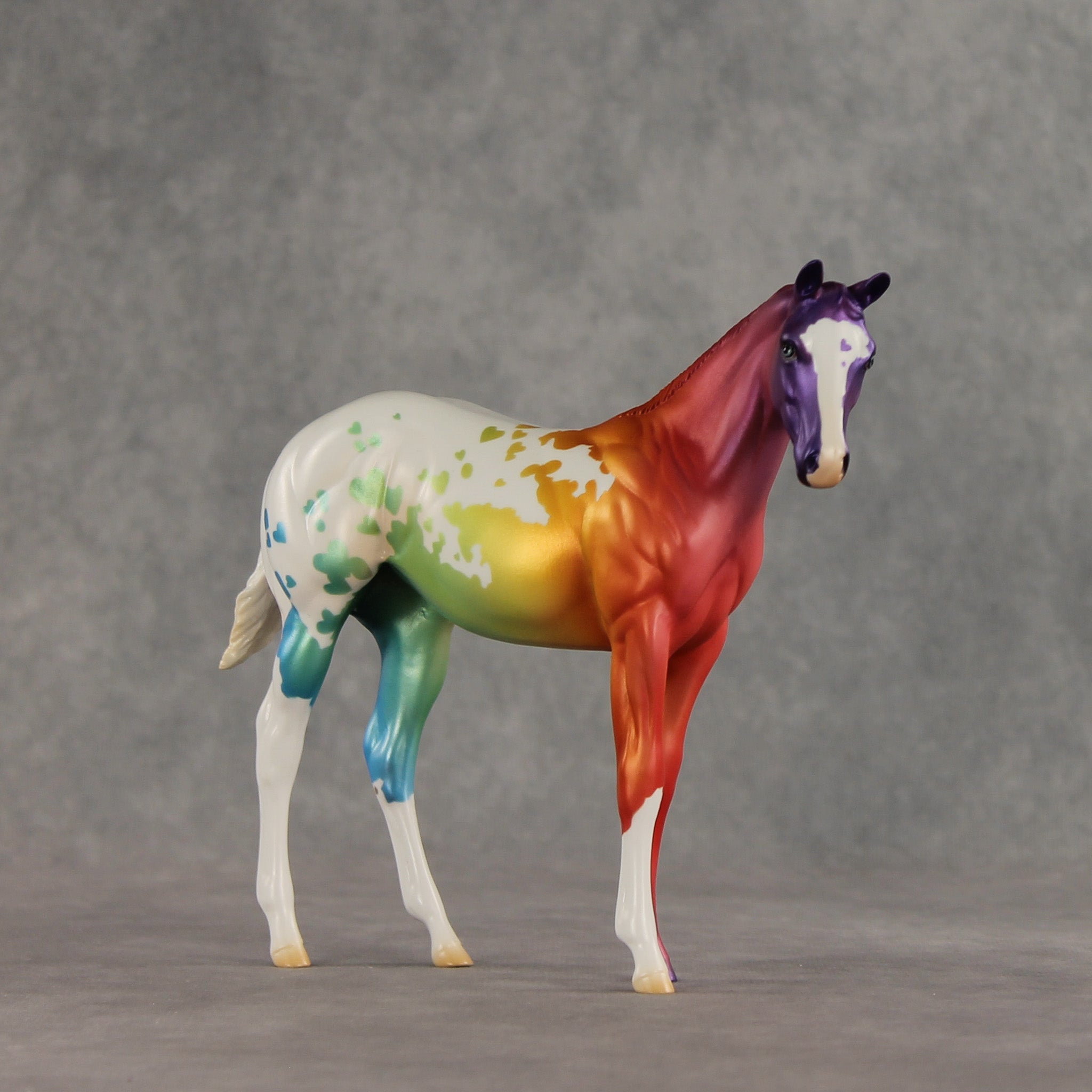 Sashay OOAK Stock Horse Weanling by Jess Hamill VV26