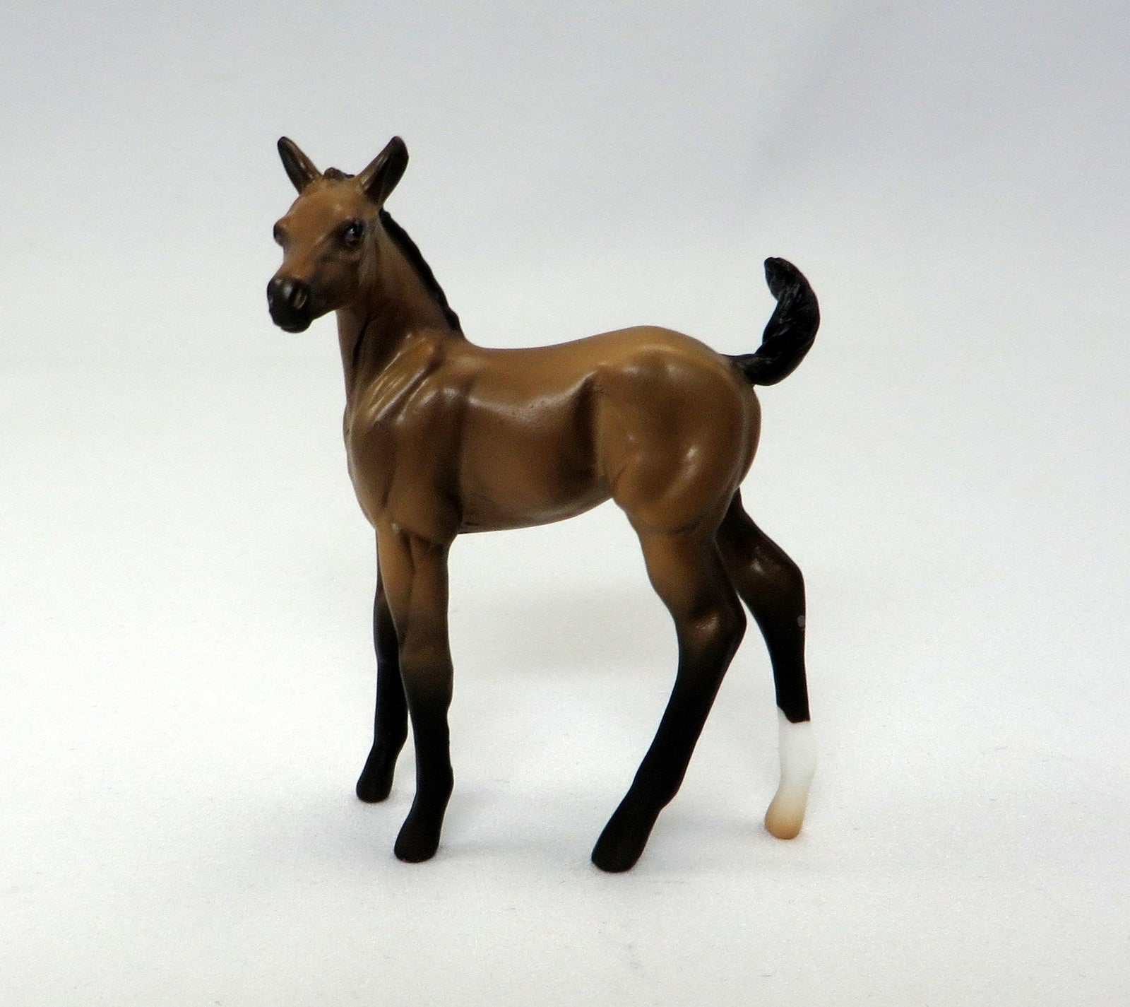 PEPPY'S SASSY PANTS - Buckskin Blanket Appaloosa Foal - LE4 - 9/23