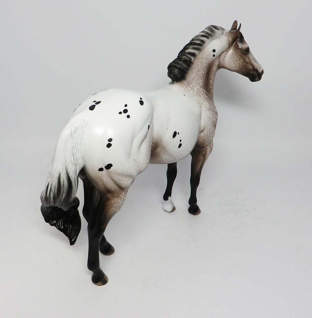 Appaloosa