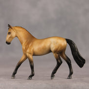 Schuyler OOAK Chip Warmblood by Julie Keim SHCF26