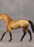 Schuyler OOAK Chip Warmblood by Julie Keim SHCF26