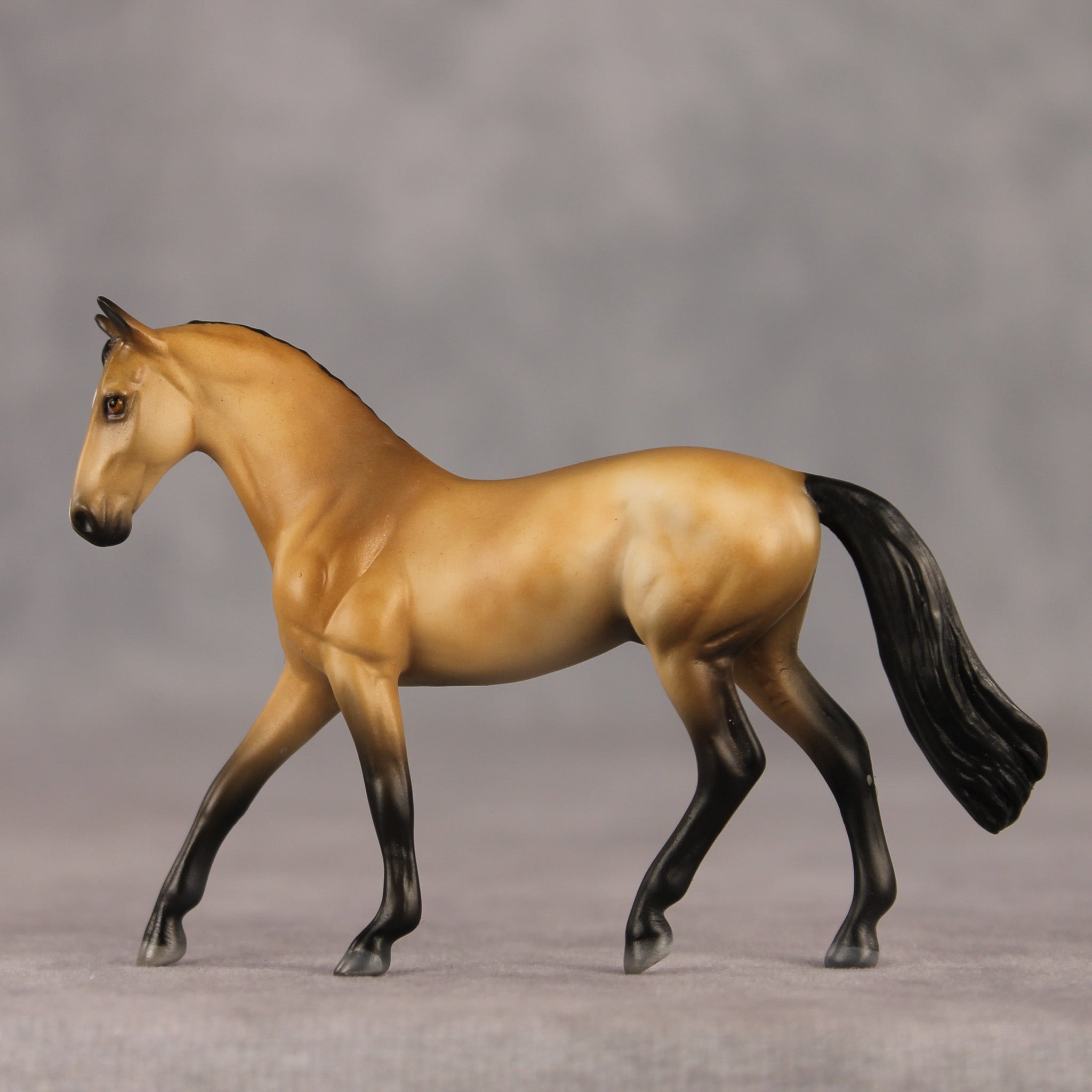 Schuyler OOAK Chip Warmblood by Julie Keim SHCF26