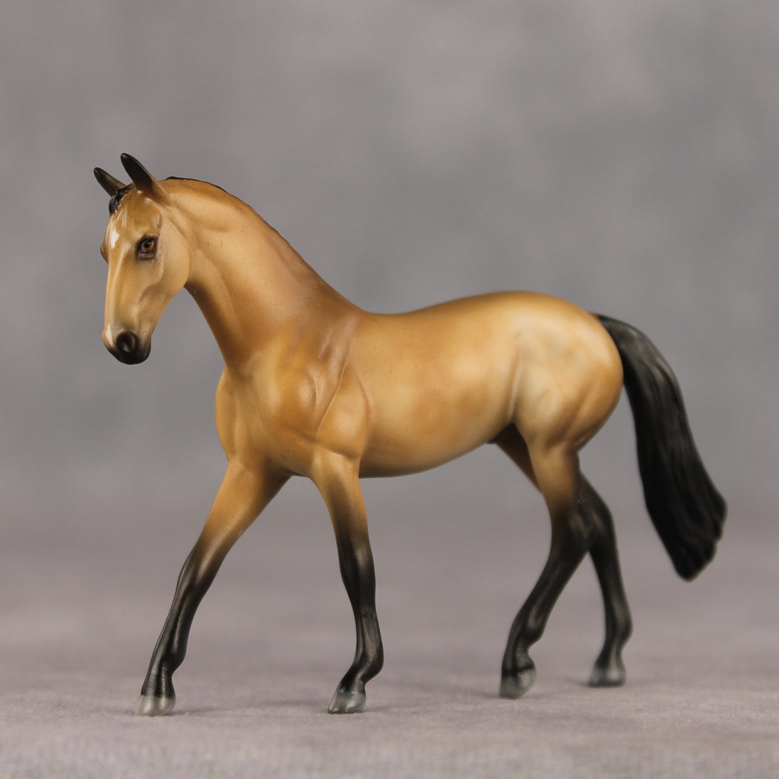Schuyler OOAK Chip Warmblood by Julie Keim SHCF26