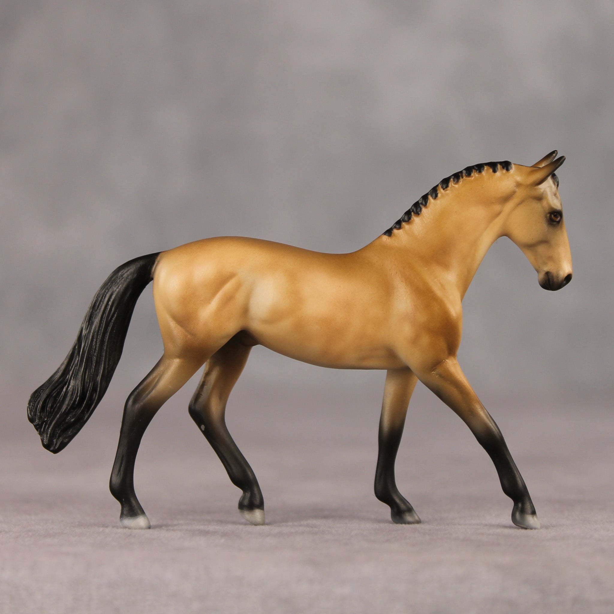Schuyler OOAK Chip Warmblood by Julie Keim SHCF26