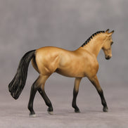 Schuyler OOAK Chip Warmblood by Julie Keim SHCF26