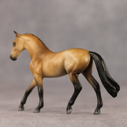 Schuyler OOAK Chip Warmblood by Julie Keim SHCF26