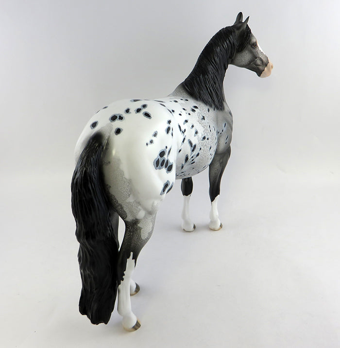 APPALOOSA