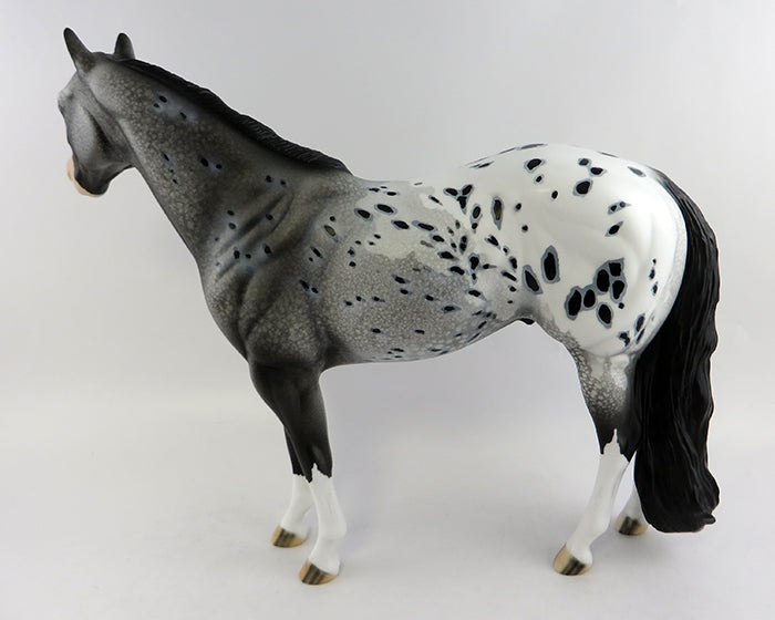 SCOOP-OOAK APPALOOSA ISH MODEL HORSE BY DAWN QUICK 10/15/16