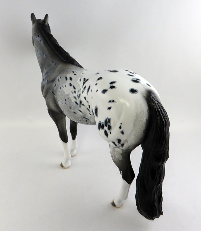 SCOOP-OOAK APPALOOSA ISH MODEL HORSE BY DAWN QUICK 10/15/16