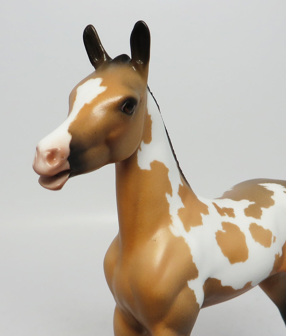 SCOTTS BLUFF-OOAK BUCKSKIN PINTO MODEL HORSE EQ 2017